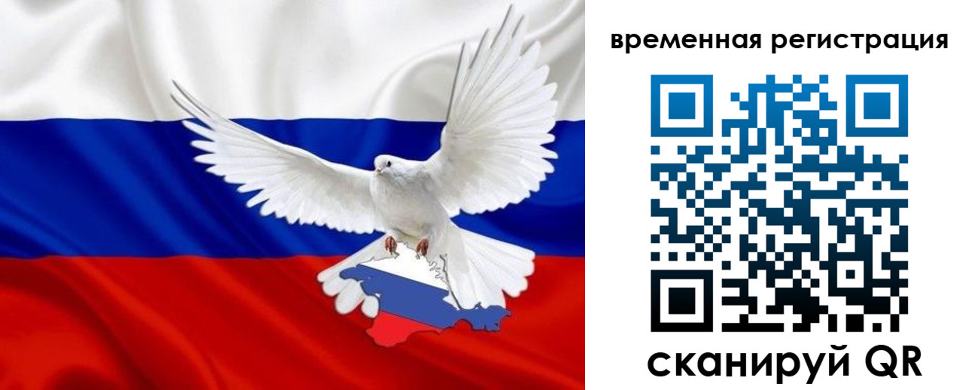 прописка законно в Волгореченске